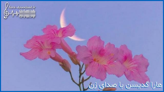 دانلود اهنگ هارا گدیرسن منیده ریمیکس با صدای زن