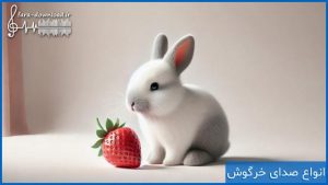 دانلود انواع صدای خرگوش