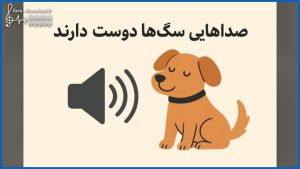 دانلود صداهایی که سگ ها دوست دارند