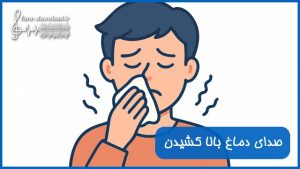 دانلود صدای دماغ بالا کشیدن